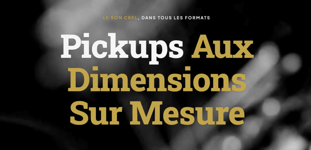 luthier ariège Crel pickups