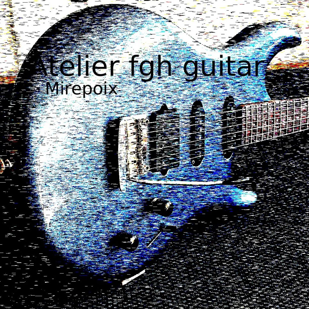 luthier aude ariège Carcassonne trèbes Bram