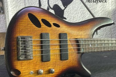 luthier guitare basse aude carcassonne Limoux bram trèbes castelnaudary