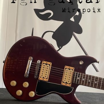 Luthier Ariège -Aude, une Vox vintage!