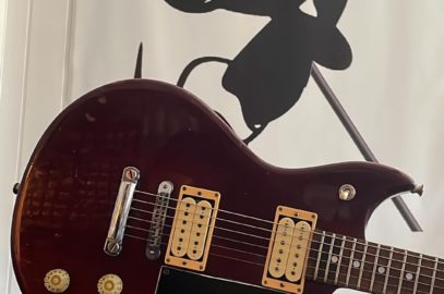 luthier aude guitare carcassonne limoux castelnaudary