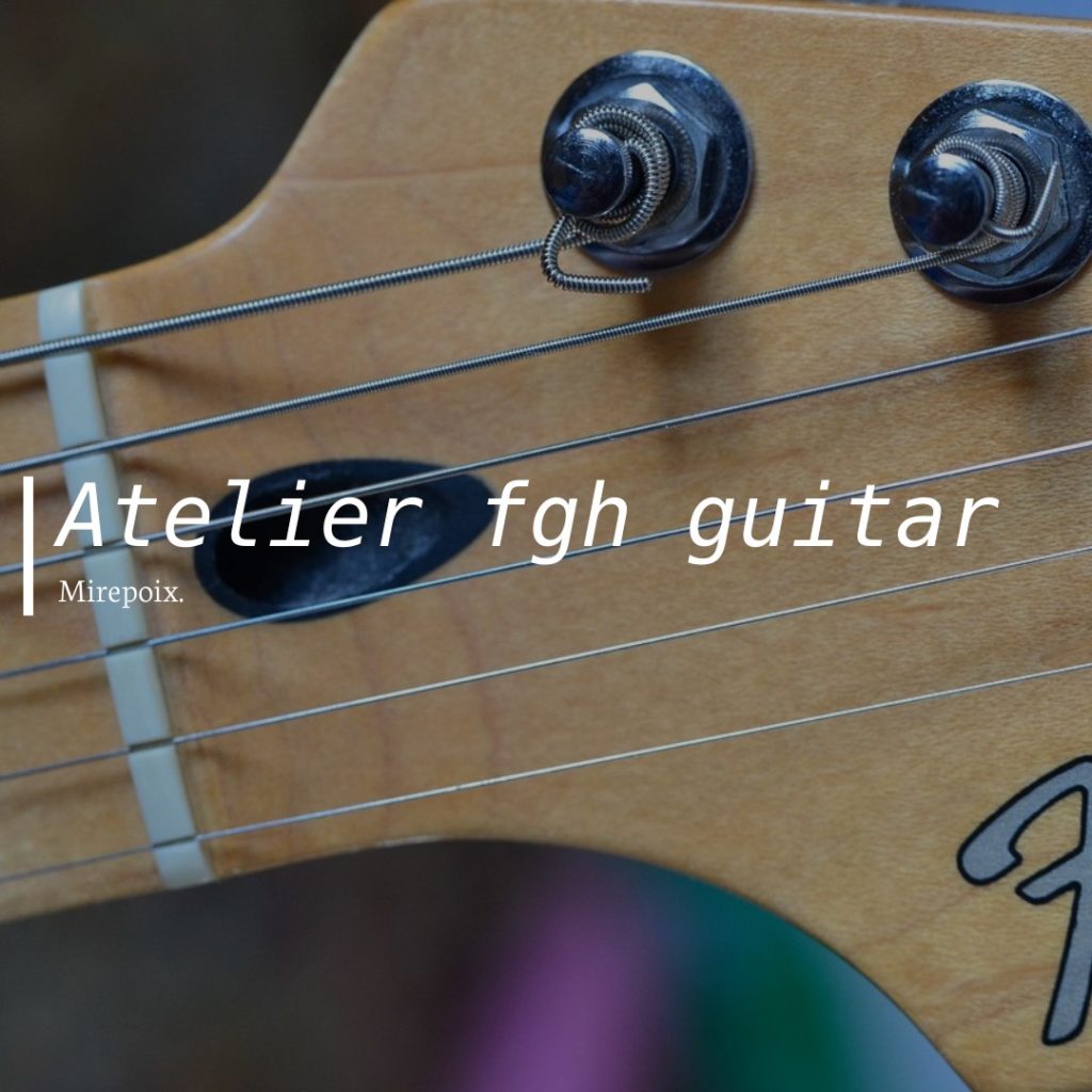 luthier aude ariège Carcassonne Trèbes Bram fanjeau limoux