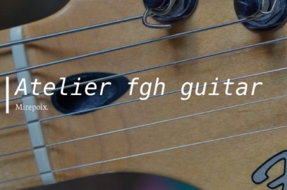 luthier aude ariège Carcassonne Trèbes Bram fanjeau limoux