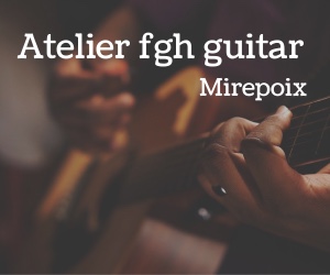 Luthier Ariège-Aude, restauration d&rsquo;une acoustique Hofner!