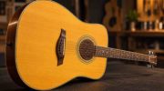 luthier guitare acoustique Mirepoix
